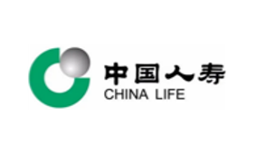 国寿财险 (GPIC) 国寿财险 (GPIC)